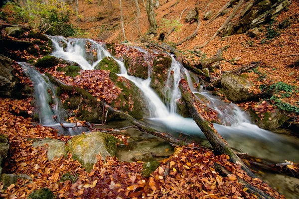 Ορεινό ρέμα στο φθινόπωρο δάσος — Φωτογραφία Αρχείου
