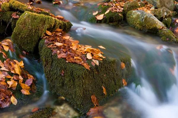 Autumn Stream Onder Groene Stenen — Stockfoto