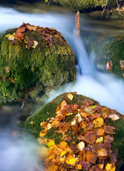 Piedras en arroyo de otoño —  Fotos de Stock