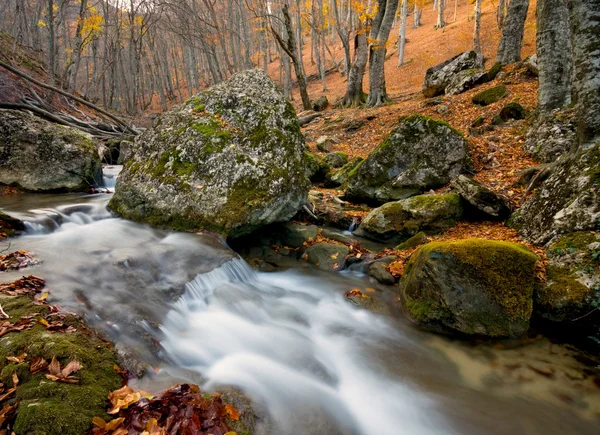 Jesienny Krajobraz Strumieniem Górskim — Zdjęcie stockowe