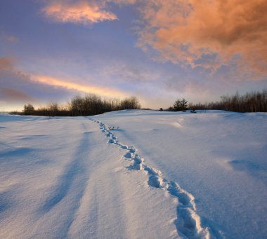 Snowpath in steppe in eveing time clipart