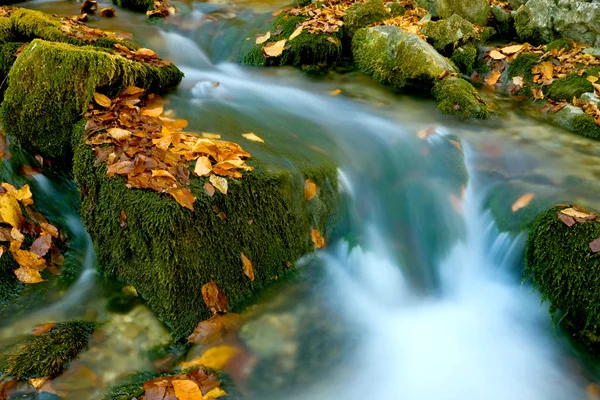 Поток среди зеленых камней с осенней листовкой — стоковое фото