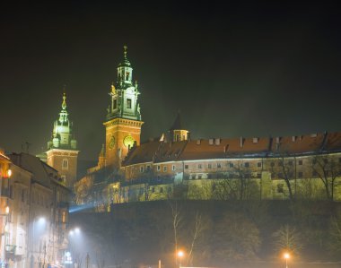 Wawel castle in night clipart