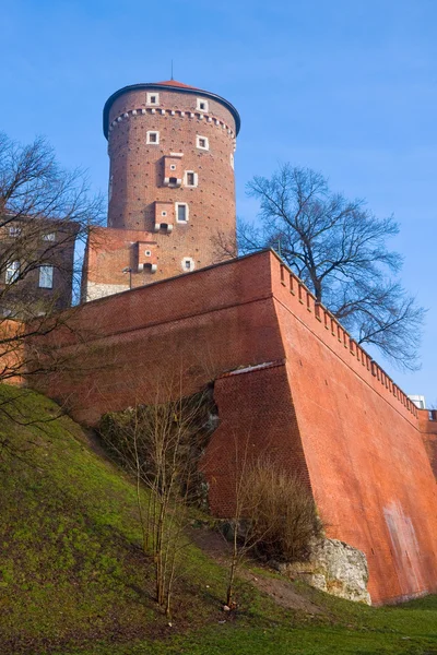 Stary zamek wawelski — Zdjęcie stockowe