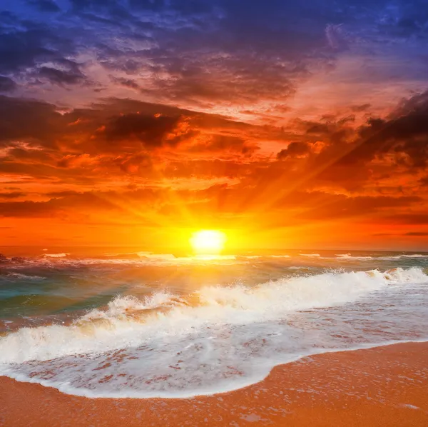 Solnedgång vid havet Royaltyfria Stockfoton