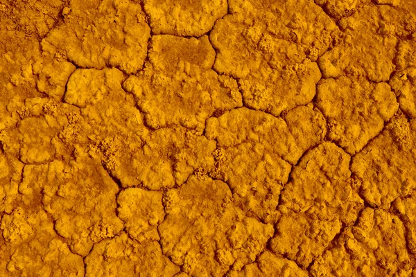 Dryed 지구 — 스톡 사진
