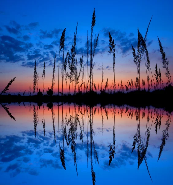 Colorful sunset over a wetland — Stock Photo, Image