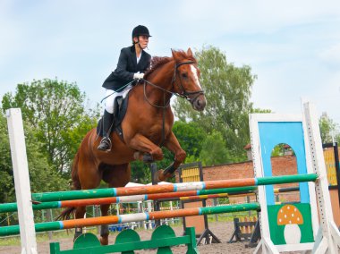 Jockey jumps over a hurdle clipart