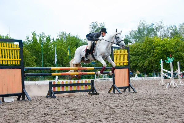 Jockey springt über eine Hürde — Stockfoto