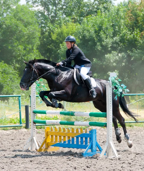 Jockey jumps over a hurdle — Stock Photo, Image