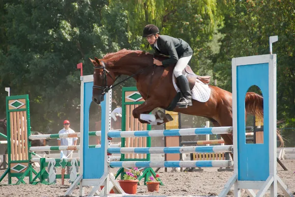 Jockey salta sobre un obstáculo — Foto de Stock