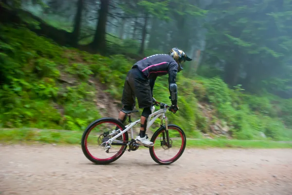 Mountain bike race i en skog — Stockfoto