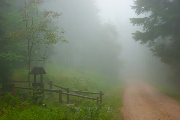 Bos weg in een dikke mist — Stockfoto