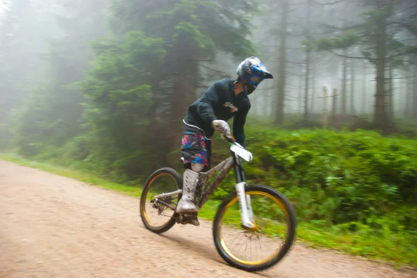 Carrera en bicicleta de montaña en un bosque — Foto de Stock