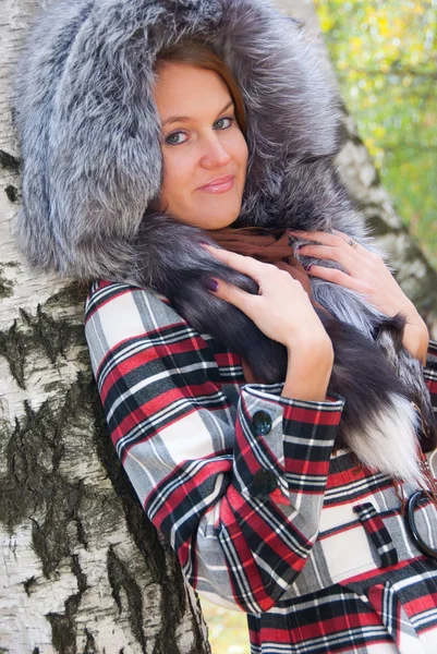 一个女孩带毛皮帽在白桦林的画像 — 图库照片
