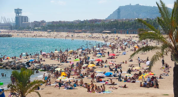 Barcelona Srpen Neidentifikovaný Relaxace Pláži Srpnu 2010 Barceloně Španělsko — Stock fotografie