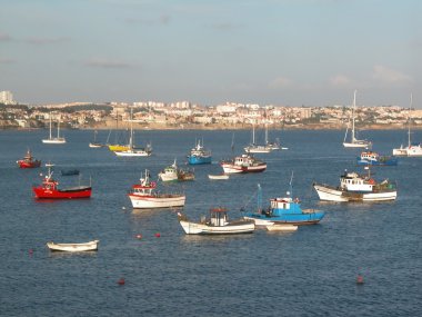 A lot of boats in the bay of Cascais. Portugal. clipart