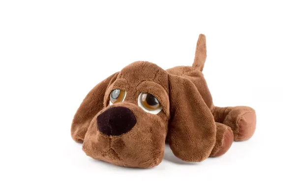 白い背景の上の悲しい子犬のおもちゃ — ストック写真