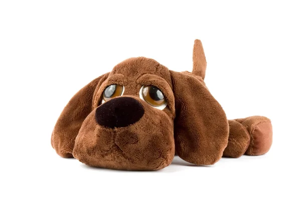 Brinquedo de cachorro — Fotografia de Stock