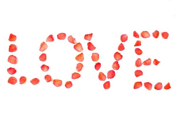 Inscription Love Maked Red Rose Petals — Stock Photo, Image