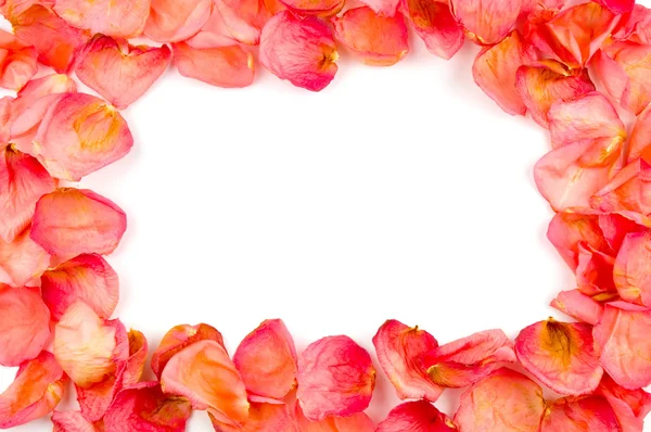 Frame Van Rood Roze Bloemblaadjes Witte Achtergrond — Stockfoto