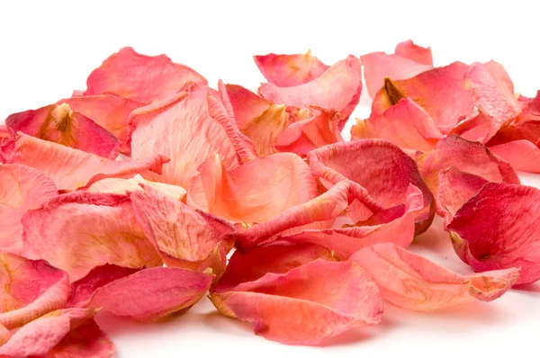 Rote Rosenblätter — Stockfoto