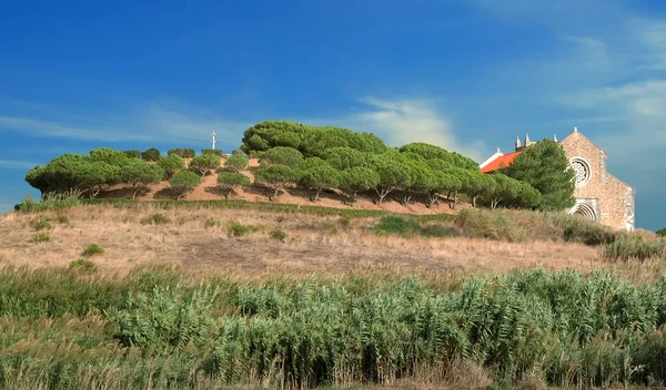 クロスは フォア グラウンドで草の木と丘の上の寺院 — ストック写真