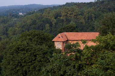 Vilnius, Litvanya bir tepede ağaçları arasında eski kale