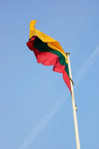 stock image Flag of Lithuania