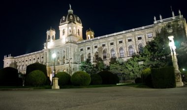 Museo de Bellas Artes de Viena