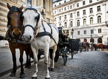 Horse-driven carriage at Hofburg palace, Vienna, Austria clipart