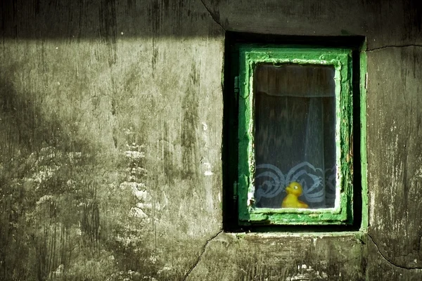 Abstraktes Grunge Bild Entenspielzeug Das Aus Dem Fenster Schaut Unglückliches — Stockfoto