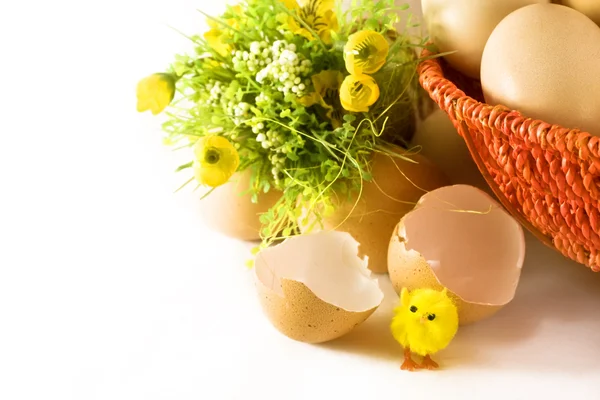 Frango Pequeno Ovos Flores Fundo Branco — Fotografia de Stock