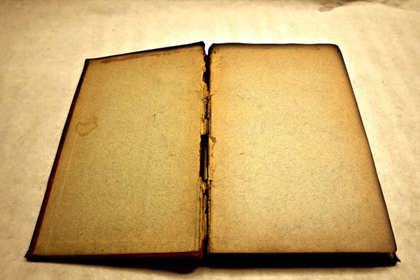 Prázdné a starožitné otevřená kniha — Stock fotografie