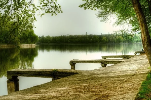 Park lake in the summer — Stock Photo, Image