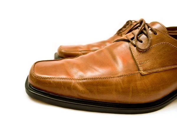 白い背景の上の茶色の男性の靴のペア — ストック写真