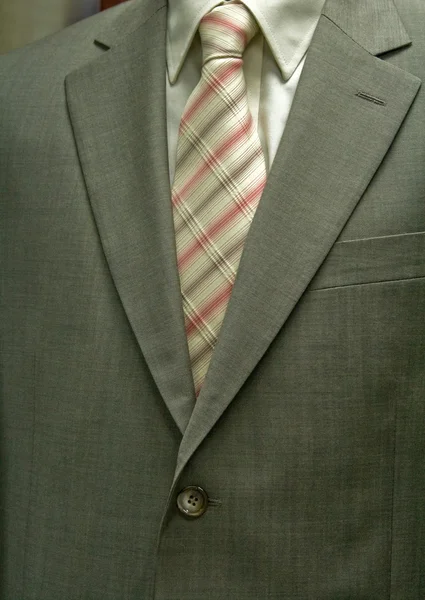 Business Suit Elegant Suit Stripes — Stock Photo, Image