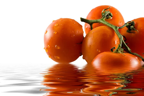 Bunch Tomatoes Reflecting Nice Clear Water — Stock Photo, Image