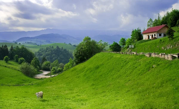 Erstaunliche Und Friedliche Landschaft Einem Rumänischen Dorf — Stockfoto