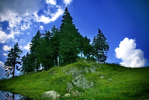 Topo Montanha Com Lago Árvores Verdes Céu Azul — Fotografia de Stock