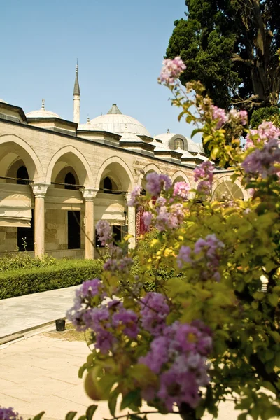 Tuin Topkapi Palace Istanbul Turkije — Stockfoto