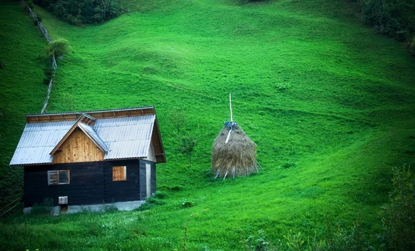 生动的绿色山草甸和木头小屋的和平观 — 图库照片