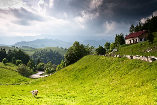 Vackra lantliga landskapet från Rumänien — Stockfoto