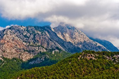 vahşi dağ Kanyonu