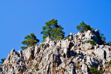 kayalar ve Toros Dağları'nda Kanyon Göynük ağaçlar. Türkiye