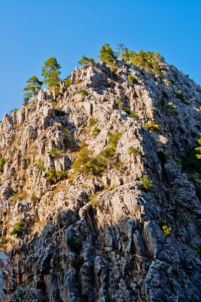 Pedras Árvores Cânion Goynuk Taurus Mountains Turquia — Fotografia de Stock