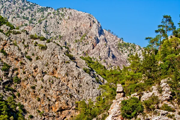 Vahşi kayalar — Stok fotoğraf
