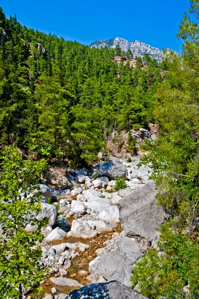 Vahşi dağ Kanyonu — Stok fotoğraf