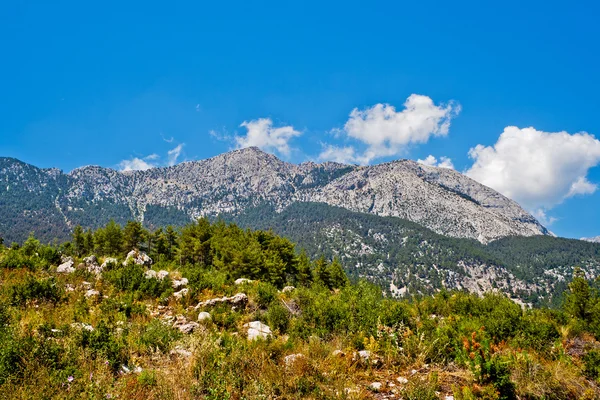 Rochers Arbres Des Montagnes Taureau Turquie — Photo