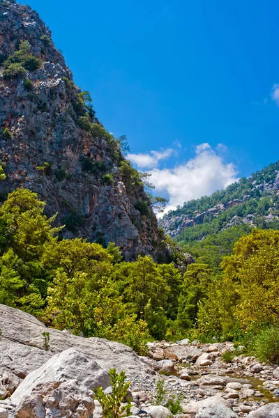 Canyon selvaggio di montagna — Foto Stock
